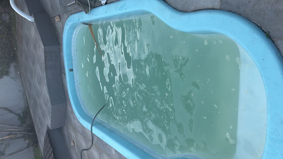A mesma fibra durante o tratamento, com a água ainda turva e a mangueira na piscina