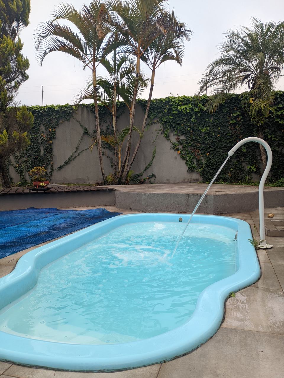 Piscina de fibra com água clara em quintal com palmeiras