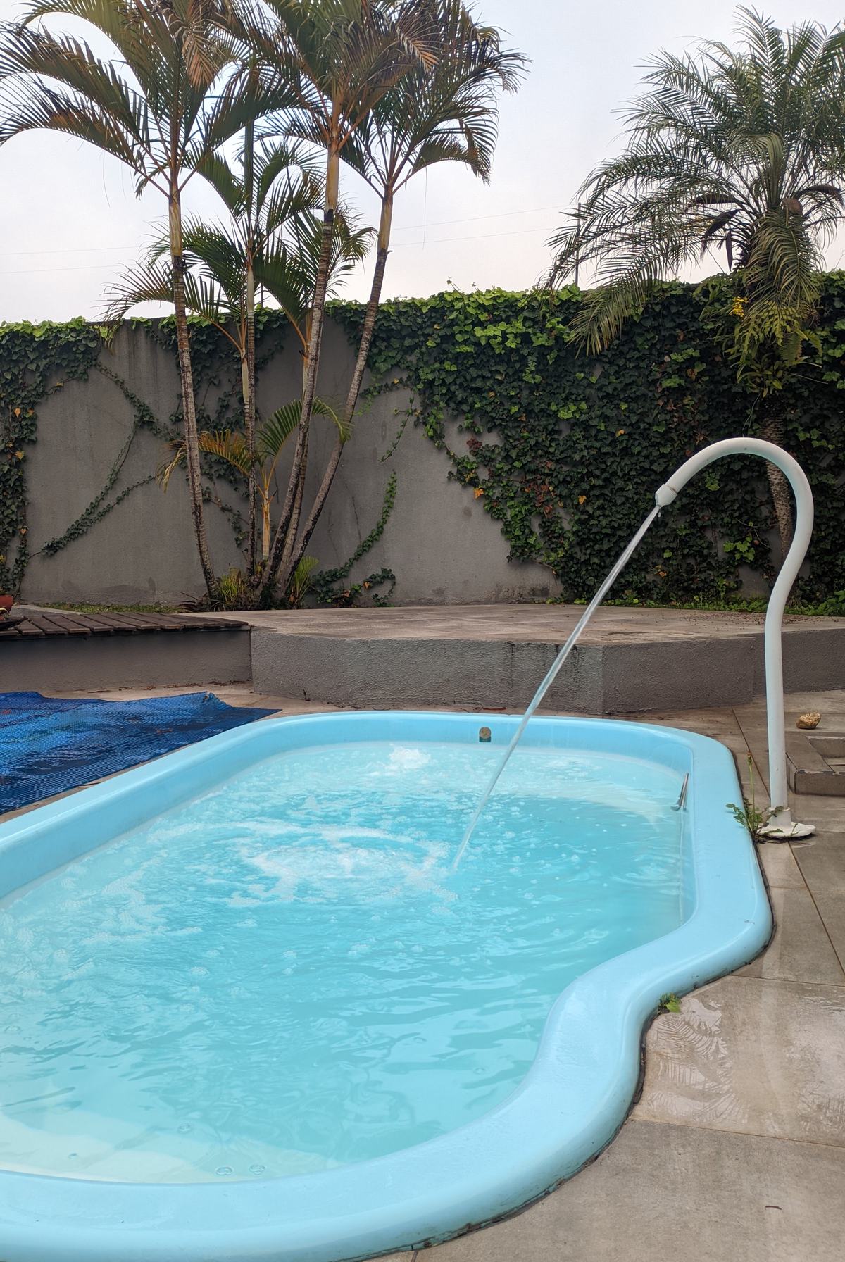 Piscina de fibra com água clara, palmeiras e jato ligado, depois do tratamento